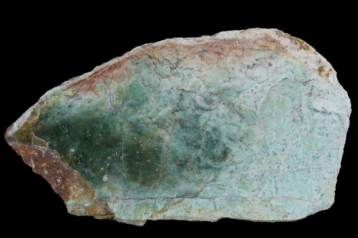 Polished Fuchsite Chert (Dragon Stone) End Cut - Australia #89984